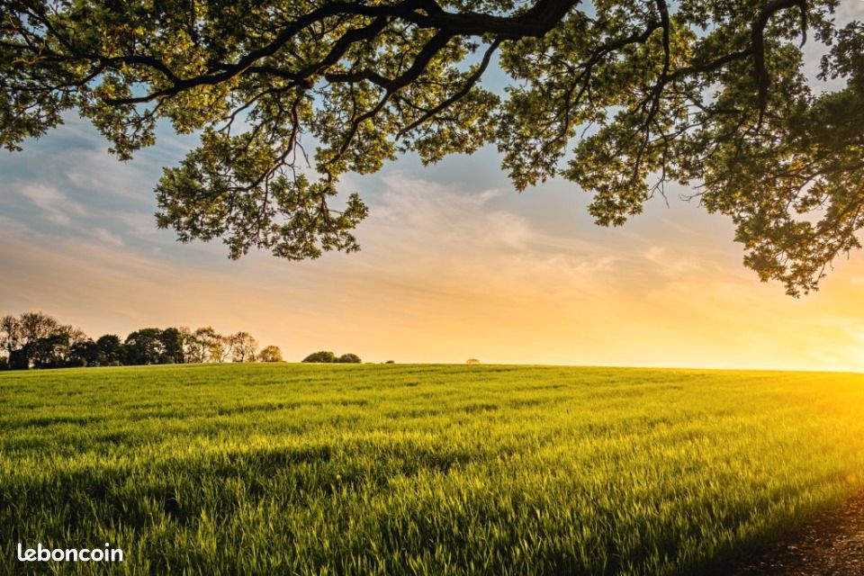 Terrain à Langeais, France 525m² No. 332564