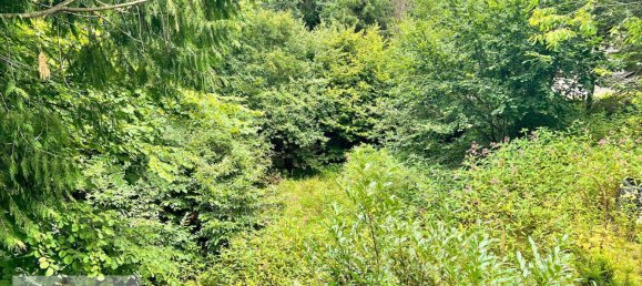 2 Schlafzimmer Haus in Odenwaldkreis, Germany, Nr. 239866 47