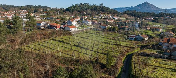 4 chambres Maison à Celorico de Basto, Portugal No. 43473 3