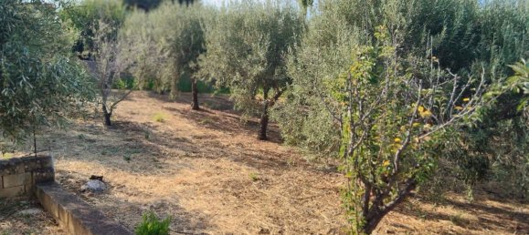 5 chambres Villa à Trabia, Italy No. 344891 10