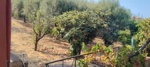 5 chambres Villa à Trabia, Italy No. 344891 11