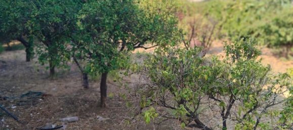 5 chambres Villa à Trabia, Italy No. 344891 13