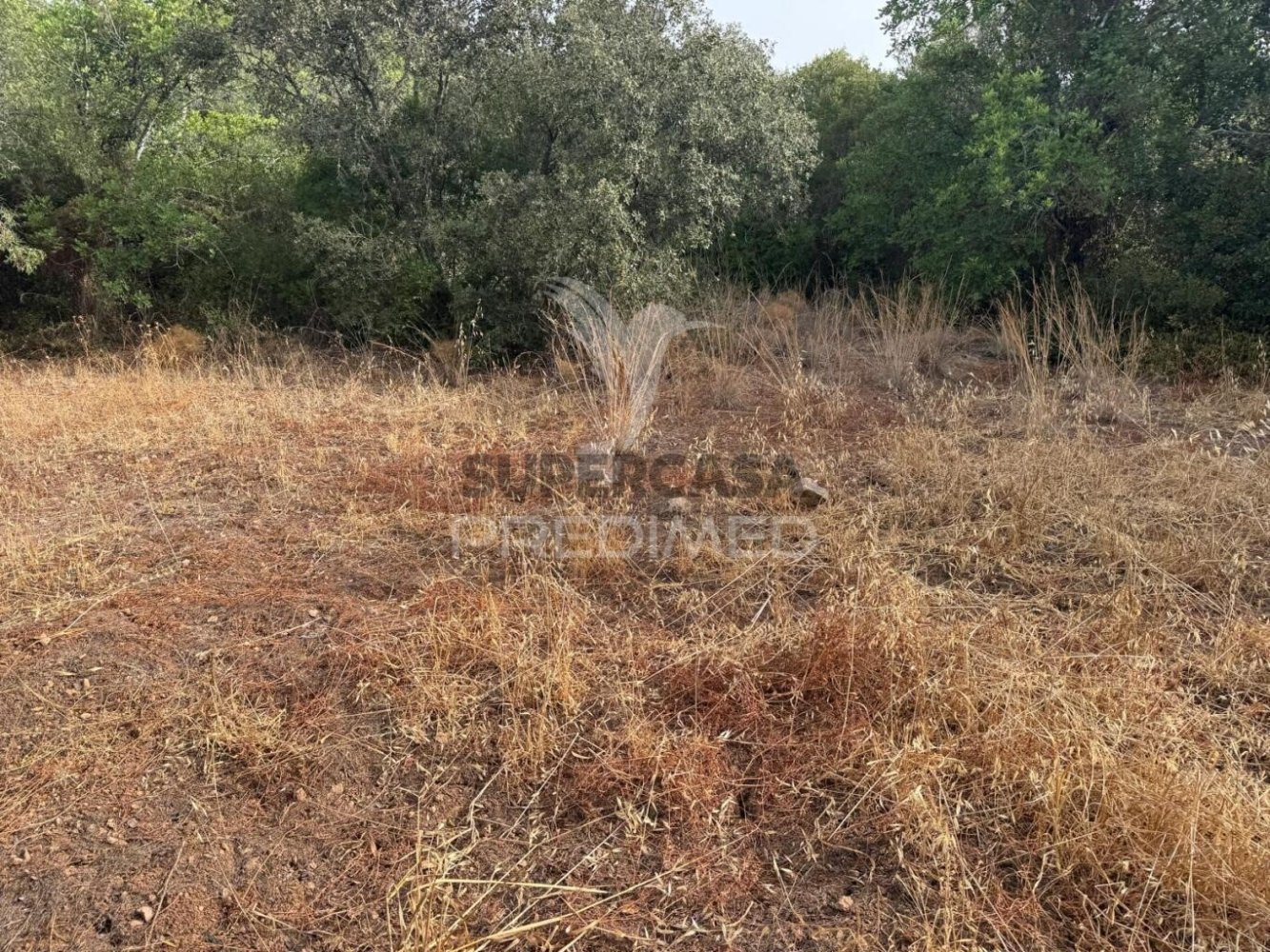  Land in Sao Bras de Alportel, Portugal No. 317185