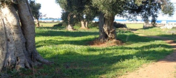 Casa de 6 habitaciónes en Ostuni, Italy No. 72321 16