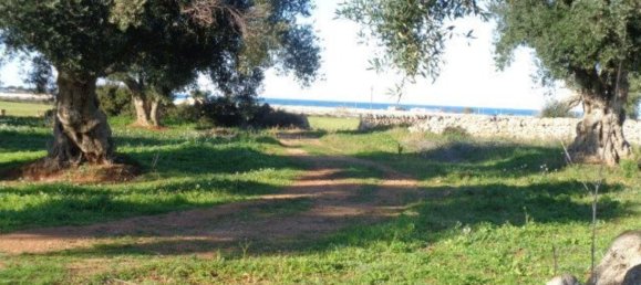Casa de 6 habitaciónes en Ostuni, Italy No. 72321 13