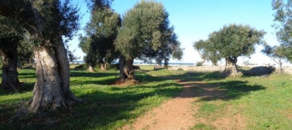 Casa de 6 habitaciónes en Ostuni, Italy No. 72321 14