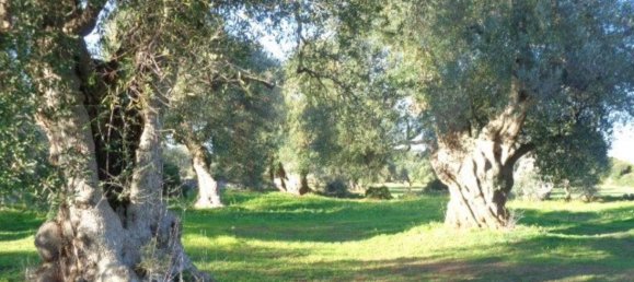 Casa de 6 habitaciónes en Ostuni, Italy No. 72321 18
