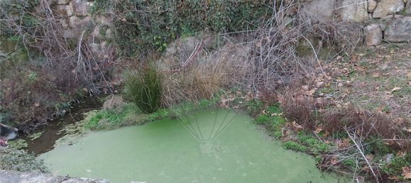 1 غرف نوم منزل في Fundao, Portugal رقم 58572 43