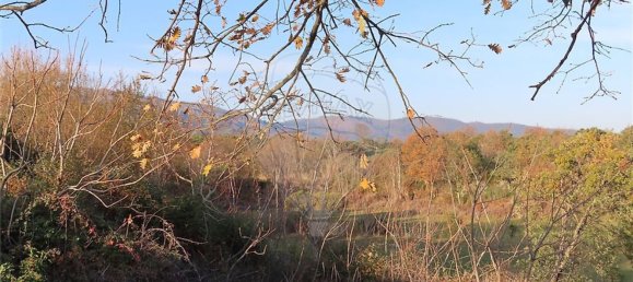 1 غرف نوم منزل في Fundao, Portugal رقم 58572 23