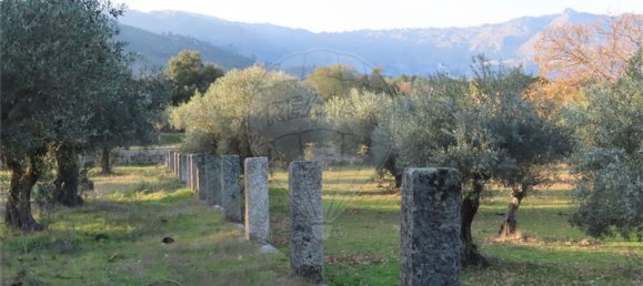 1 غرف نوم منزل في Fundao, Portugal رقم 58572 27