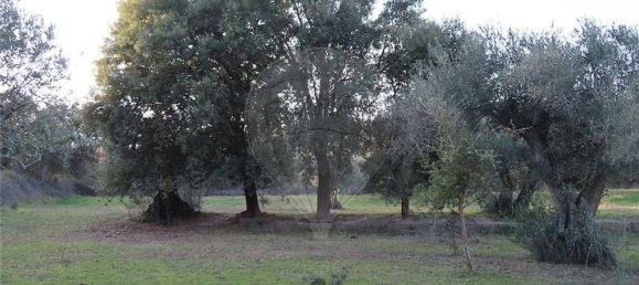 1 غرف نوم منزل في Fundao, Portugal رقم 58572 29