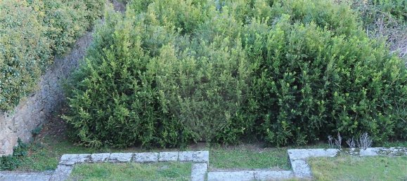 1 غرف نوم منزل في Fundao, Portugal رقم 58572 35