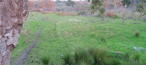 1 غرف نوم منزل في Fundao, Portugal رقم 58572 10