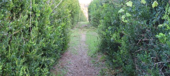 1 غرف نوم منزل في Fundao, Portugal رقم 58572 37