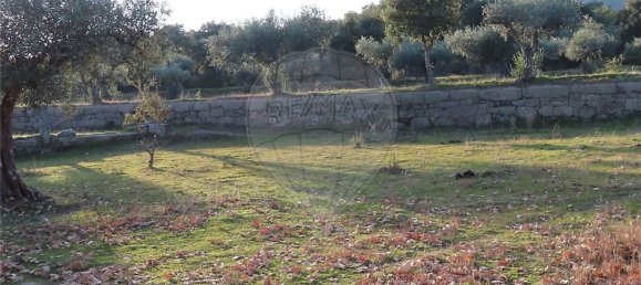 1 غرف نوم منزل في Fundao, Portugal رقم 58572 24