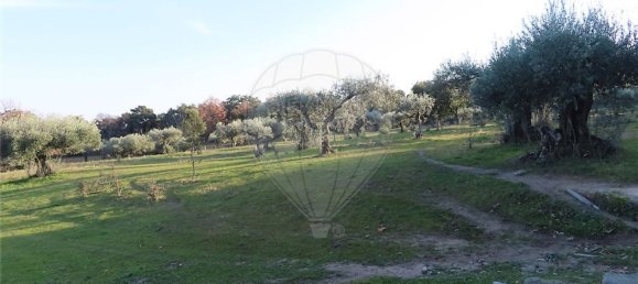 1 غرف نوم منزل في Fundao, Portugal رقم 58572 21