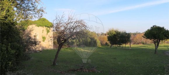 1 غرف نوم منزل في Fundao, Portugal رقم 58572 17