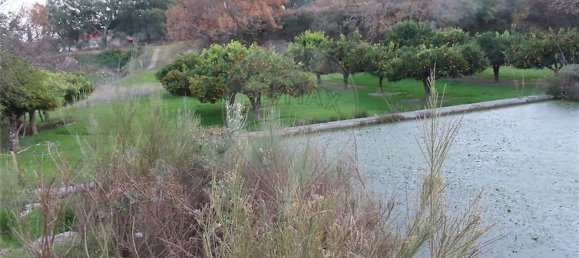 1 غرف نوم منزل في Fundao, Portugal رقم 58572 11