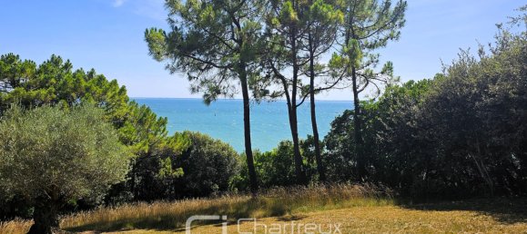 4 bedrooms Villa in Saint-Georges-de-Didonne, France No. 294195 2