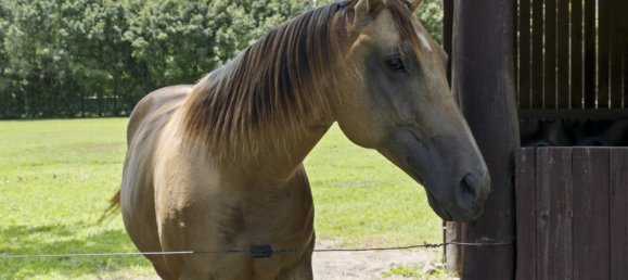 3 bedrooms Farm in Stokers Siding, Australia No. 61 4