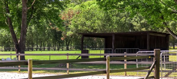 3 bedrooms Farm in Stokers Siding, Australia No. 61 21