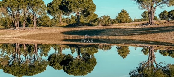4 غرف نوم منزل في Ponte de Sor, Portugal رقم 155714 18