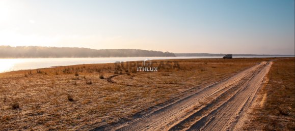 4 غرف نوم منزل في Ponte de Sor, Portugal رقم 155714 20