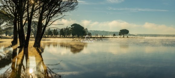 4 غرف نوم منزل في Ponte de Sor, Portugal رقم 155714 21