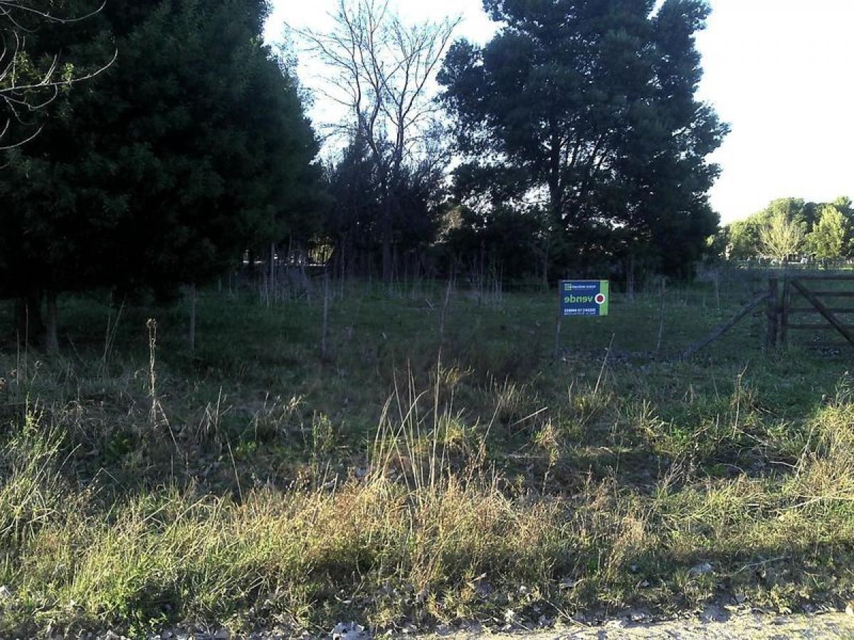  Land in Chascomus, Argentina No. 32475