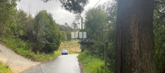 580m² Land in Marco de Canaveses, Portugal No. 56127 11