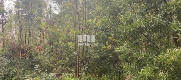 580m² Land in Marco de Canaveses, Portugal No. 56127 26