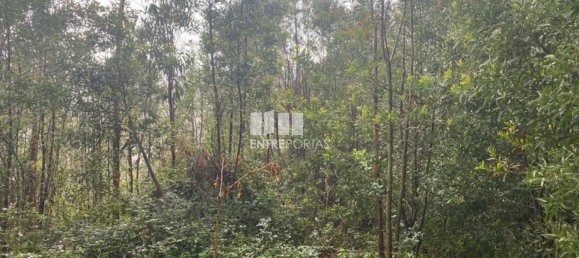 580m² Land in Marco de Canaveses, Portugal No. 56127 27