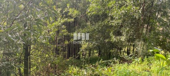 580m² Land in Marco de Canaveses, Portugal No. 56127 24