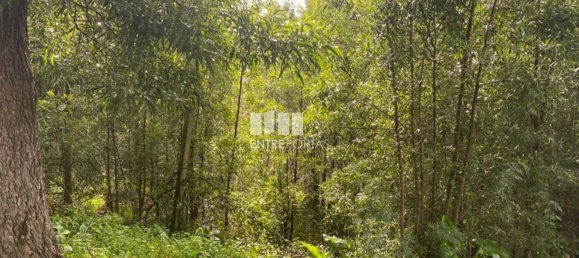 580m² Land in Marco de Canaveses, Portugal No. 56127 14