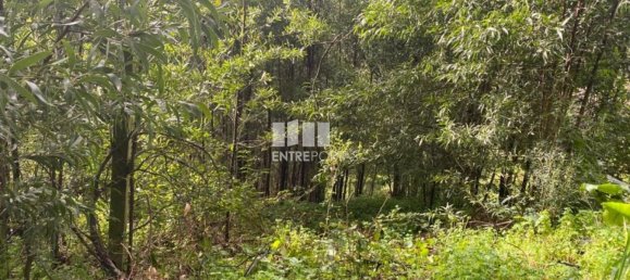 580m² Land in Marco de Canaveses, Portugal No. 56127 16