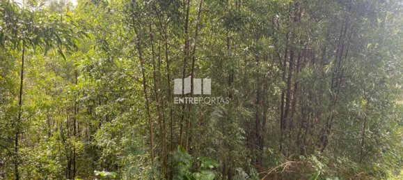 580m² Land in Marco de Canaveses, Portugal No. 56127 15