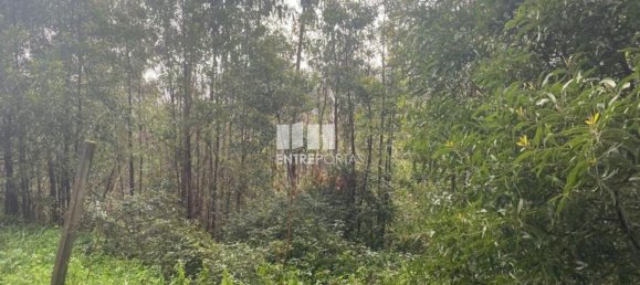 580m² Land in Marco de Canaveses, Portugal No. 56127 3