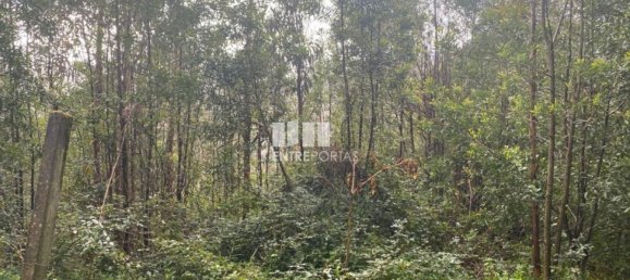 580m² Land in Marco de Canaveses, Portugal No. 56127 29