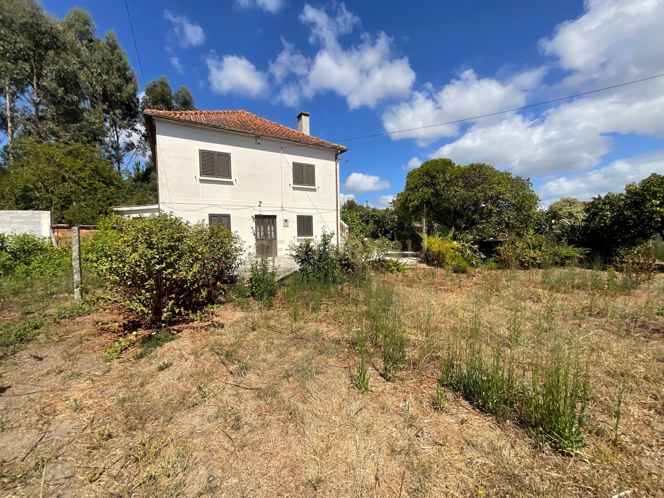 5 غرف نوم فيلا في Viana do Castelo, Portugal رقم 344120