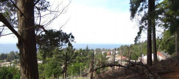  قطعة أرض في Villa O'Higgins, Chile رقم 1247 2