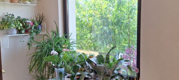 6-salle Maison à Zumpano, Italy No. 71564 6