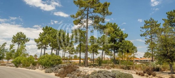 5924m² Land in Grandola, Portugal No. 64829 8