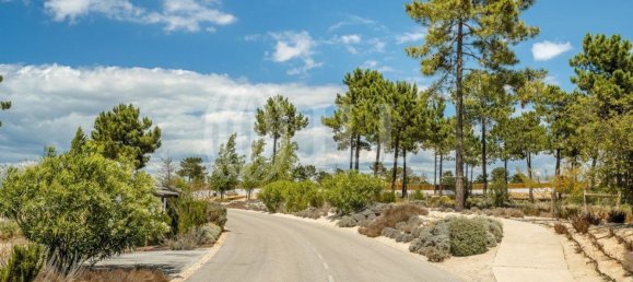 5924m² Land in Grandola, Portugal No. 64829 9