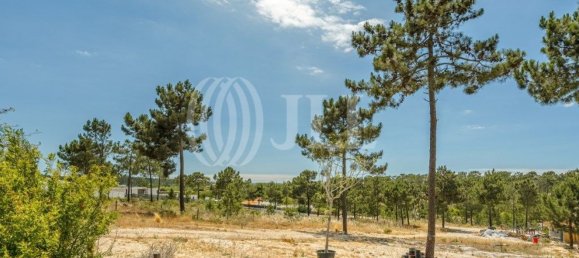 5924m² Land in Grandola, Portugal No. 64829 4