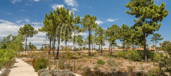 5924m² Land in Grandola, Portugal No. 64829 7