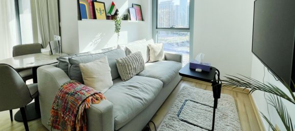 46.08m² Apartment in Downtown Dubai (Downtown Burj Dubai), UAE No. 55516 2