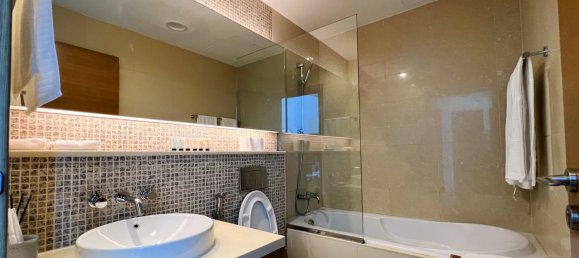 46.08m² Apartment in Downtown Dubai (Downtown Burj Dubai), UAE No. 55516 11