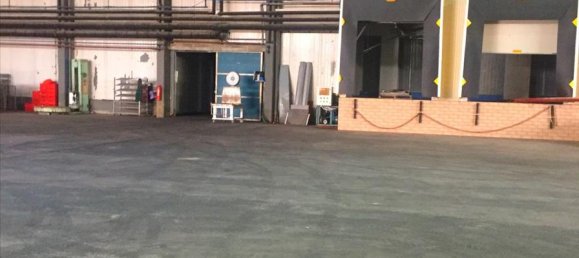 10500m² Property in Imathia, Greece No. 6003 24