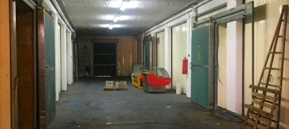 10500m² Property in Imathia, Greece No. 6003 6