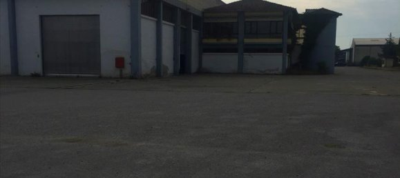 10500m² Property in Imathia, Greece No. 6003 4